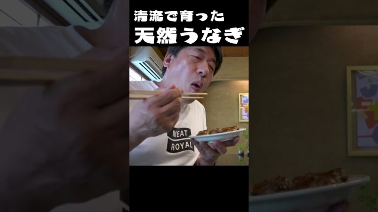 【清流で育った】うなぎを食べると元気になる。山口県長門産 天然うなぎは旨いby寺門ジモン