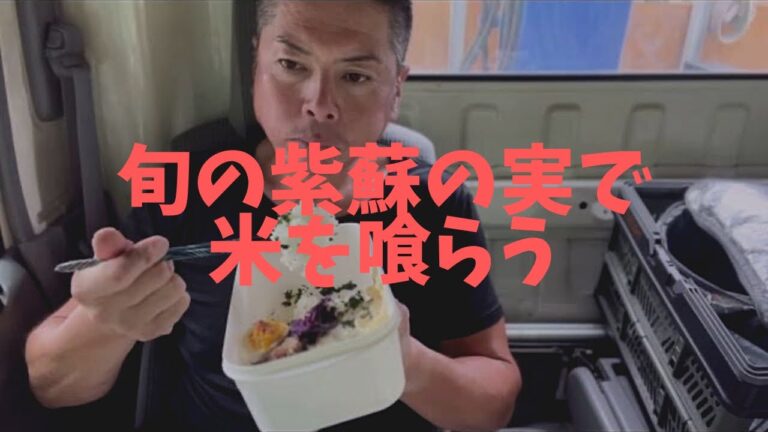 トラックでランチ73紫蘇の実ふりかけで、爽やかな弁当#食事シーン #飯テロ #咀嚼音 #健康ごはん #lunch #職人メシ #bento