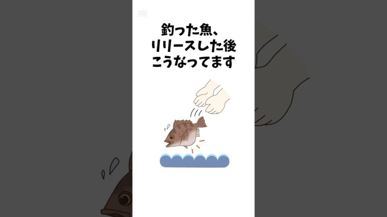 ㊗️240万再生！釣った魚のリリース後の末路　#魚 #釣り #雑学 #海釣り