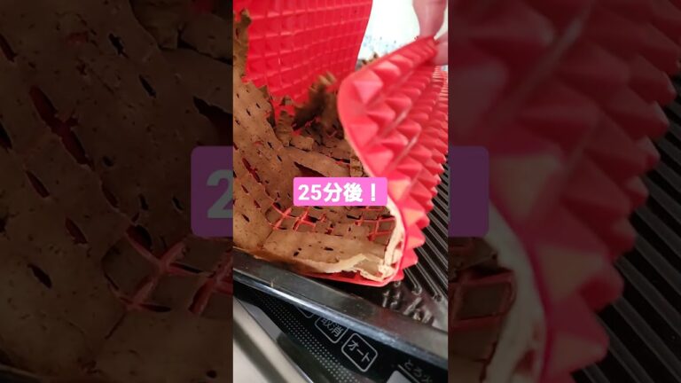 【子犬】鶏レバー食べる？