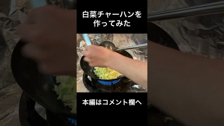 【中華鍋】白菜チャーハンを作ってみた #チャーハン #shorts