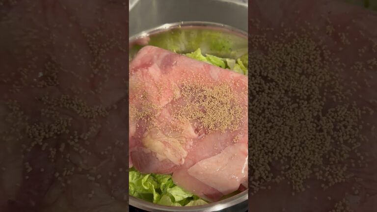 【自炊動画】鶏肉と白菜をほんだしで煮た鍋のご紹介ですー！