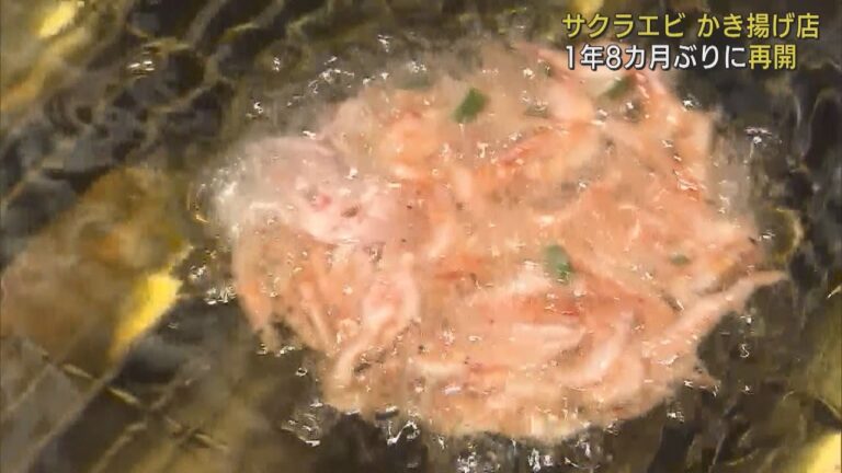 開店前から行列できる　1年8カ月ぶりに営業再開したサクラエビかき揚げ店　静岡市清水区