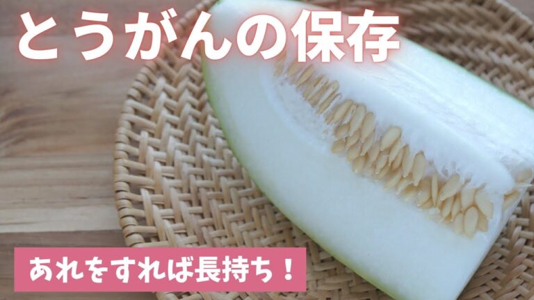 【冬瓜の保存＆冷凍】カットしてからもおいしく保存できます！（島本美由紀の保存から食品ロス削減）