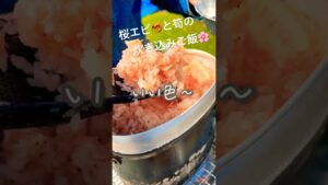 【お花見キャンプ】100均の飯盒で桜エビと筍の炊き込みご飯 #アウトドア #キャンプ #キャンプ飯