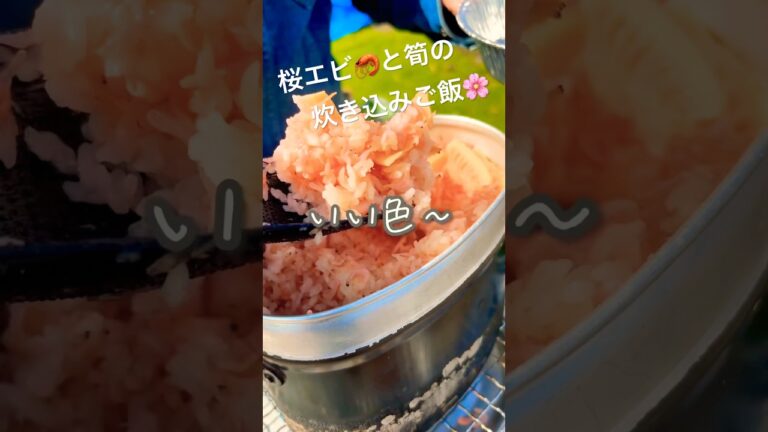 【お花見キャンプ】100均の飯盒で桜エビと筍の炊き込みご飯 #アウトドア #キャンプ #キャンプ飯