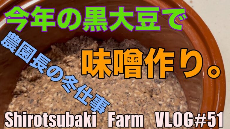 【丹波篠山黒大豆】今日は味噌作り！ついでに納豆も！SFV#51丹波篠山市