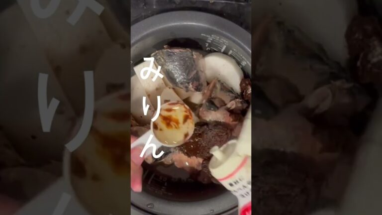 ズボラ女子のテキトーごはん🐟さばと大根の味噌煮