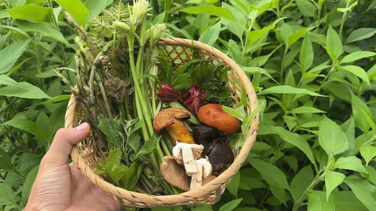 夏きのこと家の山菜・野菜で天ぷら蕎麦を作って食べる