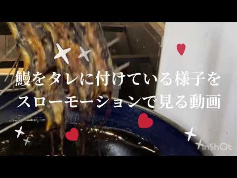 鰻をタレに付けている様子をスローモーションで見る動画　高知　鰻　UNAGIDININGという、選択。