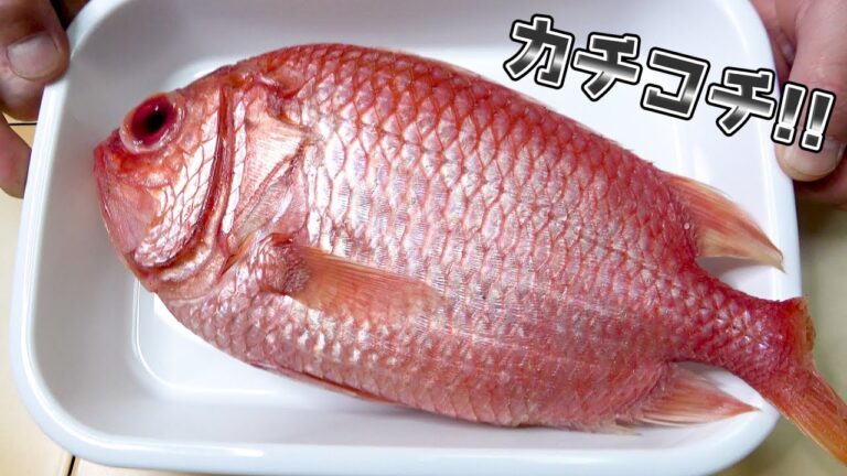 彼女に振る舞うならカルパッチョがオススメのお魚を会長からいただきました！！