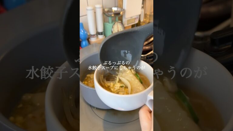【プラス１品】片栗粉不使用！とろとろ水餃子スープ🥣