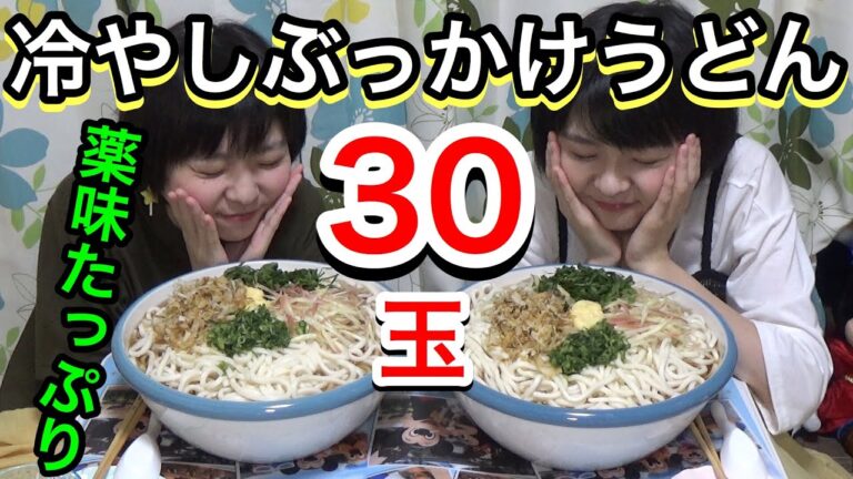 【大食い】薬味たっぷり！冷やしうどん３０人前！※ずるずる音多めです※【双子】