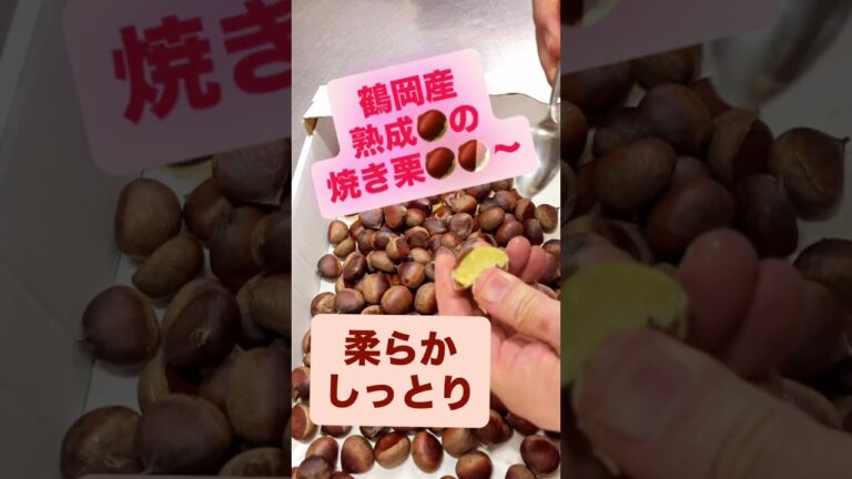 熟成栗のしっとり甘い焼き栗🌰発売開始！#鶴岡市 #鶴岡スイーツ #和菓子 #栗スイーツ #焼き栗 #モンブラン #和栗 #渋皮煮 #信濃屋菓子店