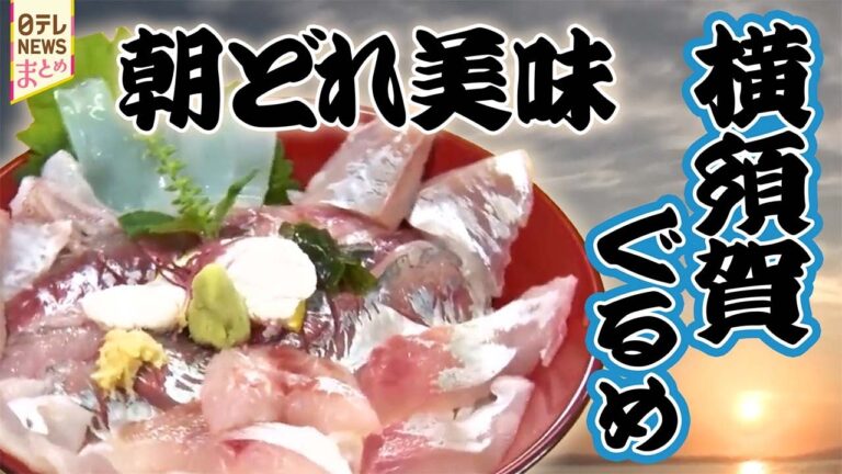 【横須賀グルメ】東京湾はうまい魚の宝庫　地魚海鮮丼/三浦半島丸ごと！　冬に食べたいとろみ鍋
