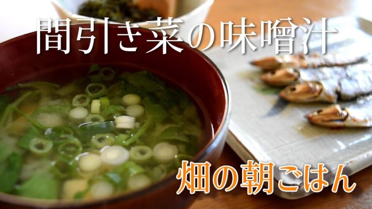 【Japanese Breakfast】How to make Healthy authentic breakfast with Miso soup & mezashi dried fish