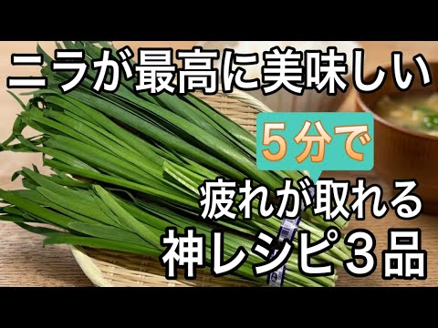 【ニラ大量消費】一袋が秒で消える！安い・早い・旨すぎる！疲れ取り&若返りの神レシピ3つ