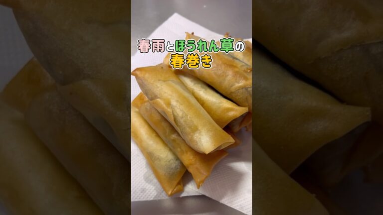 具材はレンジでワンパン。春雨とほうれん草の春巻き  #春巻き #春雨 #ほうれん草 #shorts#cooking