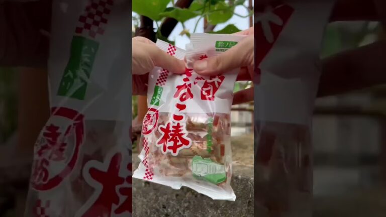 ジェネレーションギャップってやつ感じた夏 #きなこ棒 #駄菓子