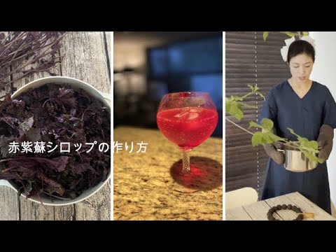 赤紫蘇シロップの作り方