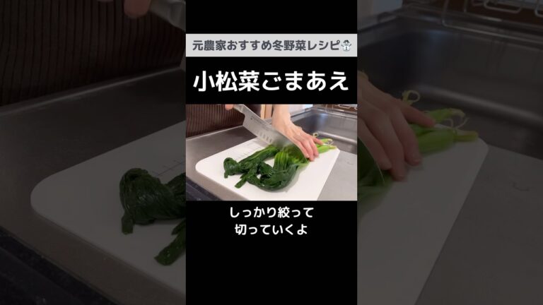 レンジで15分！火を使わない小松菜のごまあえ【作りおきOK】