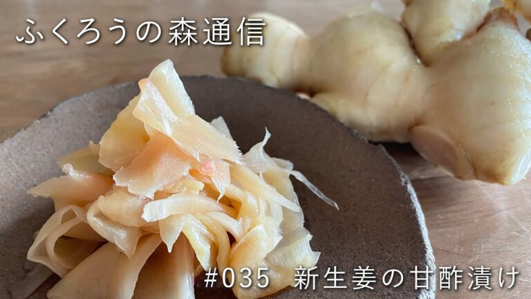 【簡単レシピ】新生姜で甘酢漬けの作り方/ふくろうの森通信/#035