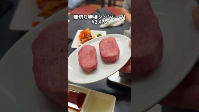 【人気】孤独のグルメに登場！最高の町焼肉がここ！！【八王子】