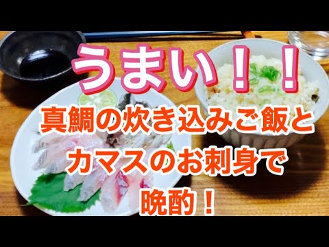 真鯛の炊き込みご飯とカマスのお刺身！