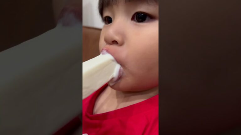 こぼれ落ちるアイスさん🍨#2歳0ヶ月 #2歳 #2歳児 #2歳男の子 #赤ちゃん #baby