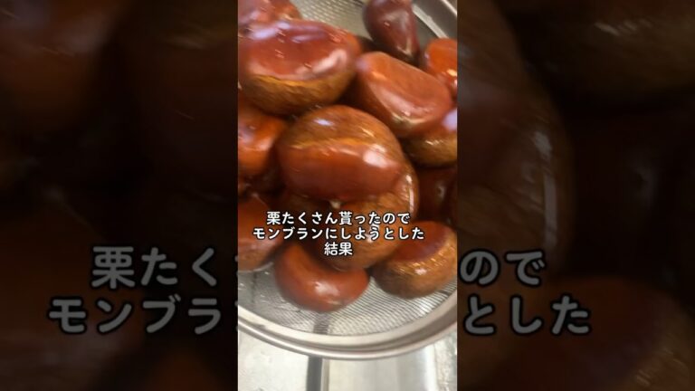 【悲報】栗をモンブランにしようとした結果... #shorts #栗 #モンブラン #秋  #失敗 #ビフォーアフター #cooking