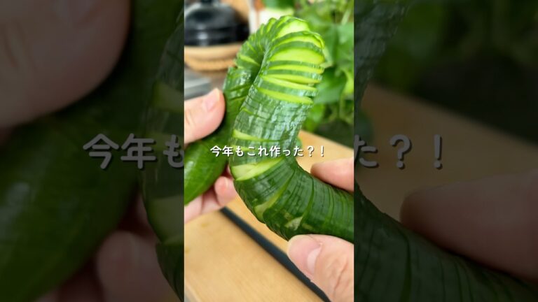 旨ダレ絡む！蛇腹きゅうり🥒