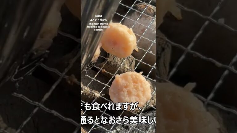 【しちりん・七輪】海老つみれ 新潟（Shrimp fishball Niigata） #七輪 #food #fishball #shorts #つみれ