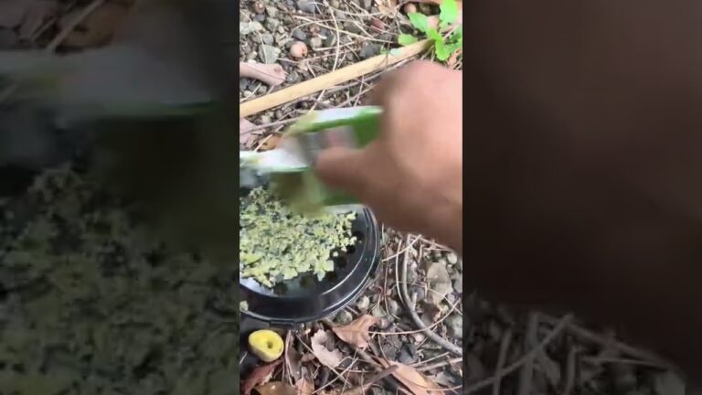 【ふわトロかき氷】おろし器で簡単アウトドアかき氷【台湾風かき氷】#shorts