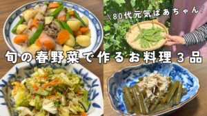 【80代元気ばあちゃん】旬の春野菜で作るお料理３品｜晩ご飯や作り置きに｜家庭菜園で採れたスナップエンドウ｜新じゃが・新玉ねぎ・新キャベツ・ふき