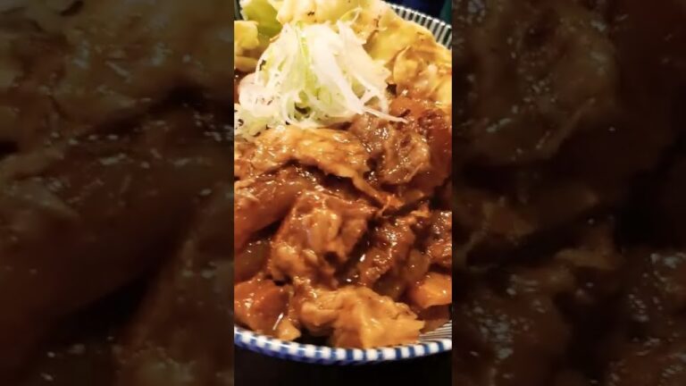 岐阜 柳ヶ瀬 煮込み屋 牛スジ丼 特盛 700円