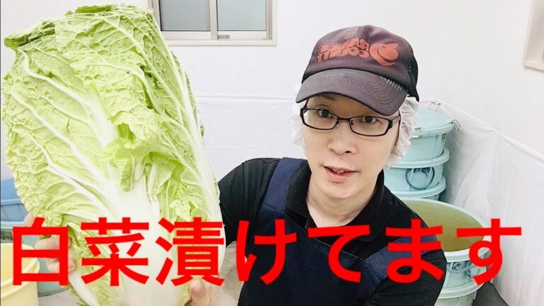 白菜漬けてみます！佐藤漬物商店