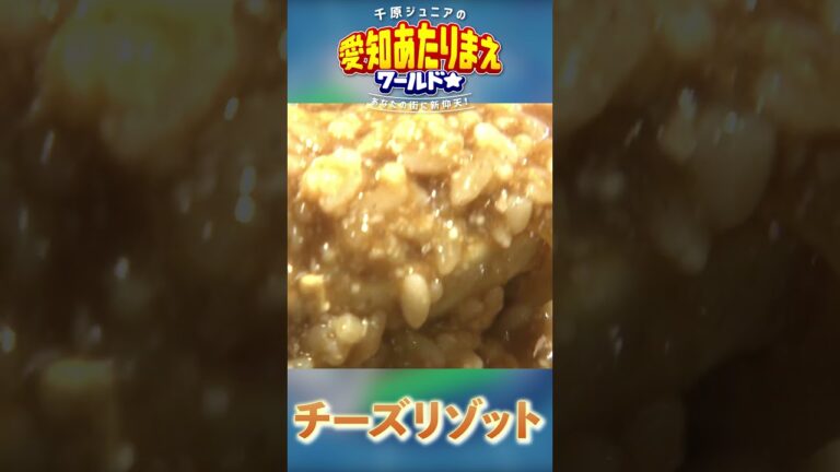 【食べたいのはどっち！？】カレー煮込み（尾張）VS 茶そば（三河）ごちそうバトル　本編は概要欄から！