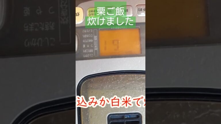 【簡単】栗ご飯