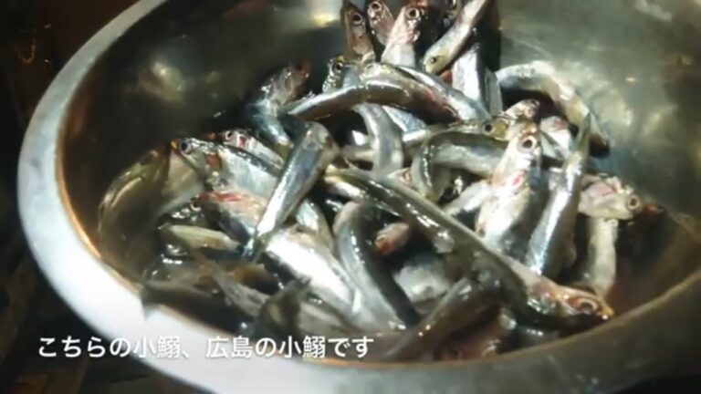 【広島名物小鰯】煮付けは！時短！簡単！　#ひとりでできるもん  カタクチイワシ！　#こいわし　#広島名物