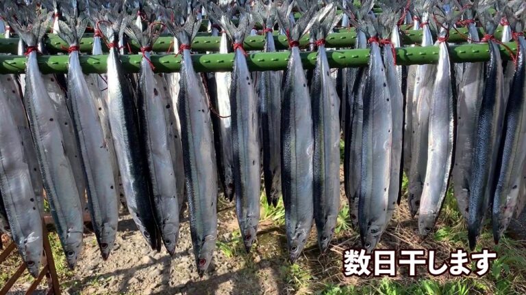 【紀州尾鷲の干物：浜千商店】さんまの丸干し