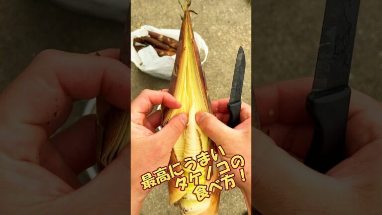 最高にうまい【タケノコ】の食べ方！#真竹#淡竹 #料理 #おつまみ# #farming