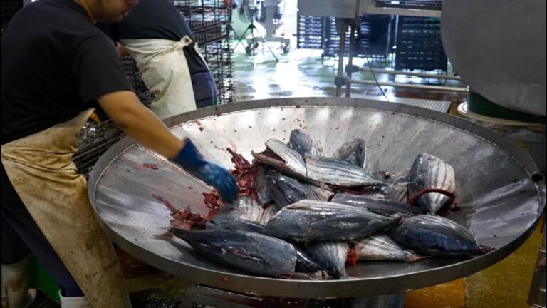 即席味噌汁の素を大量生産するプロセス。日本を代表する食品企業の即席味噌汁の素製造工程