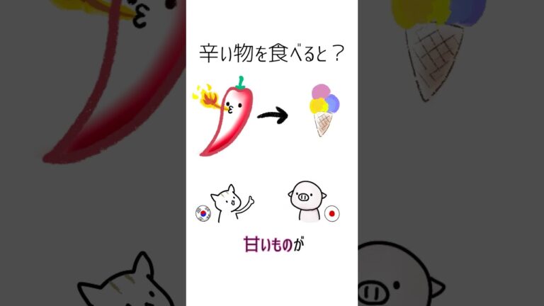 【寧ろ太る】韓国では「辛いものダイエット」は誰もしません。 #Shorts