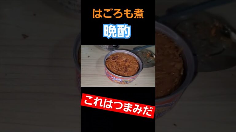 5億年ぶりにはごろも煮食べてお酒飲む【リコリコ晩酌】