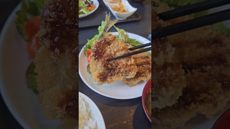 "サクサク"がたまらない激安アジフライ定食 #富津市