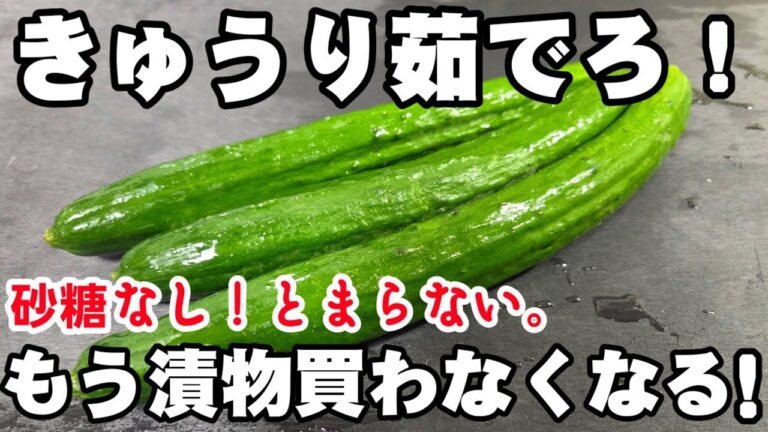 【砂糖不要】きゅうりは茹でろ！？もう漬物買わなくなる！簡単 作り置き 常備菜 副菜 塩浅漬け ヘルシー 節約 健康 レシピ  裏技ライフハック(味の素)