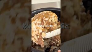 これ作ったら子どもが無言で食べ続けた…牛ごぼう飯🍚✨