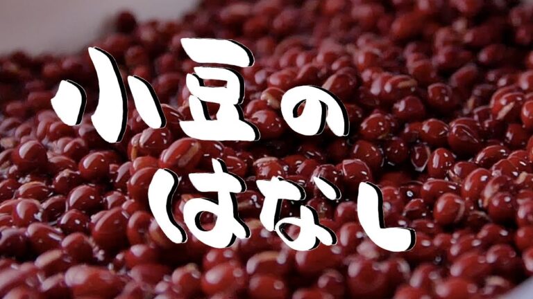 【小豆】小豆の使い分けの説明をしてる動画です