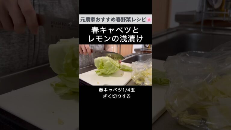 旬の春キャベツでぜひ！国産レモンと春キャベツの浅漬け