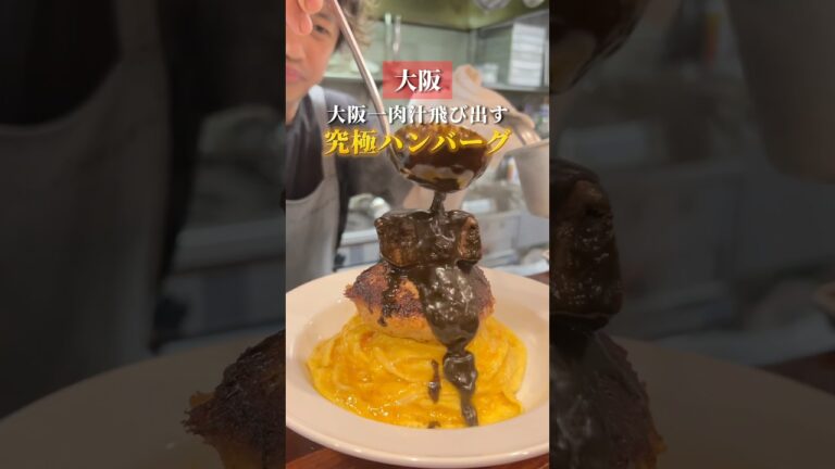 大阪一肉汁溢れる究極のハンバーグ📍ニクサングルマン #大阪グルメ #大阪ハンバーグ #天満グルメ #大阪ランチ #osakafood